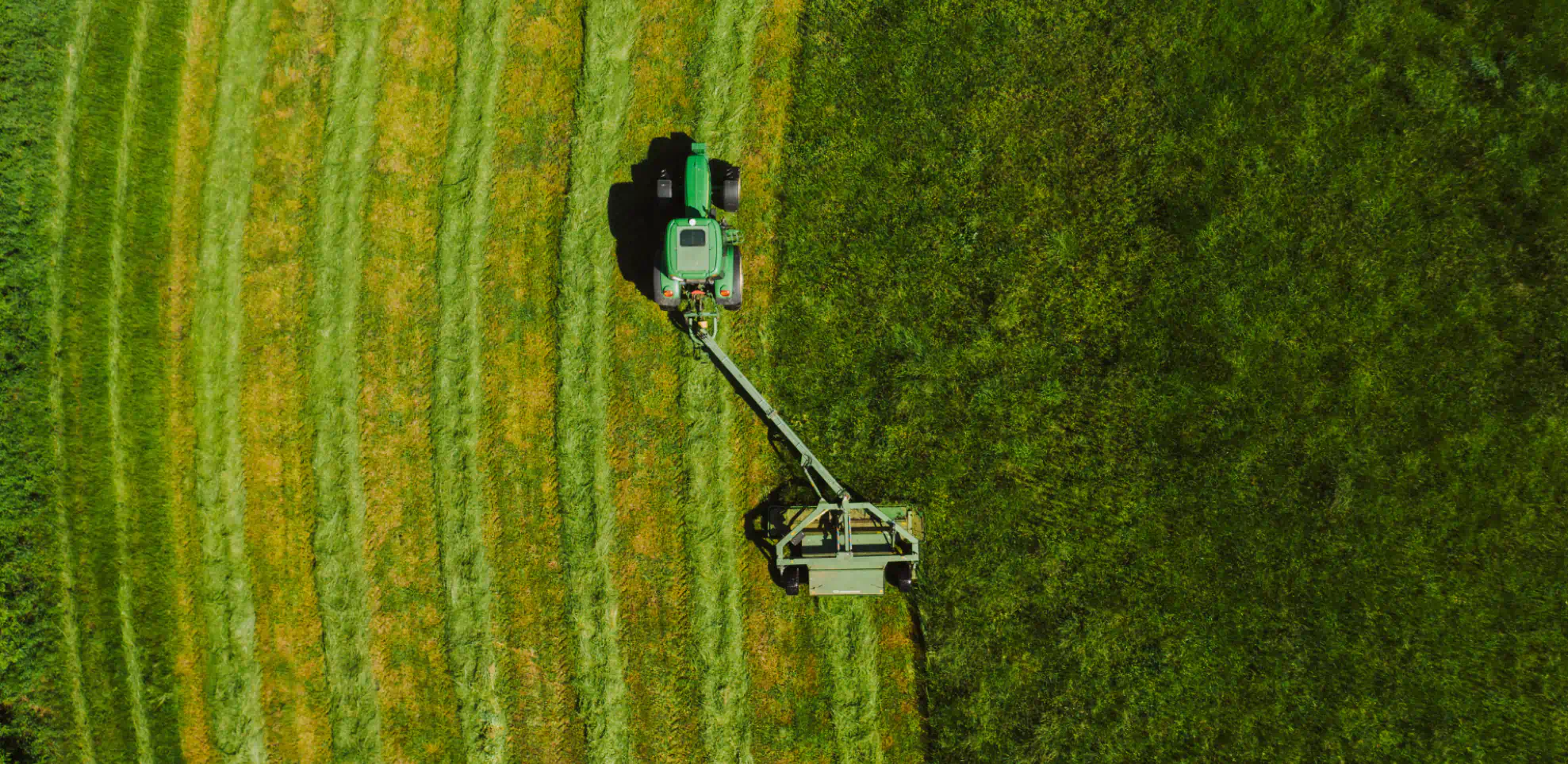 Commercial Mowing Commercial Mowing