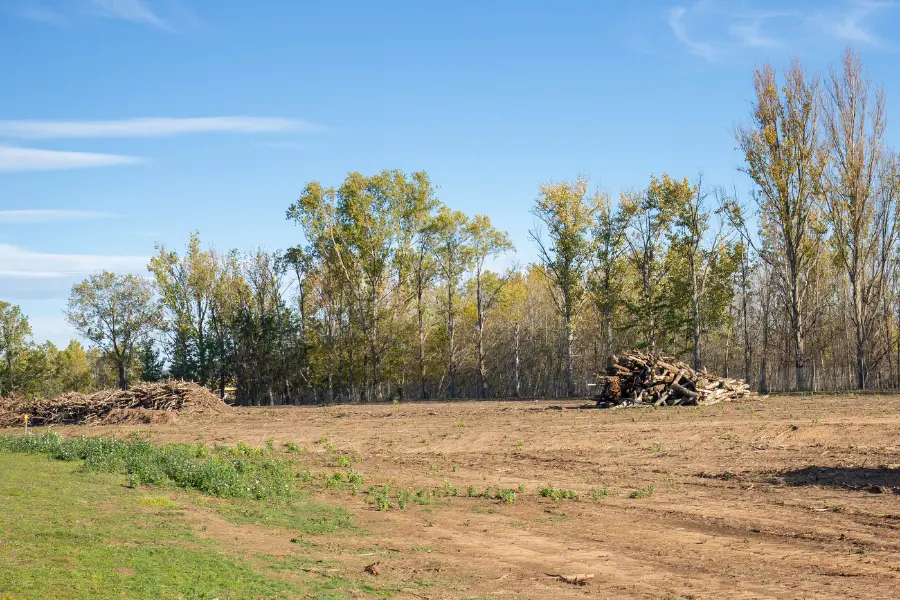 Land Clearing